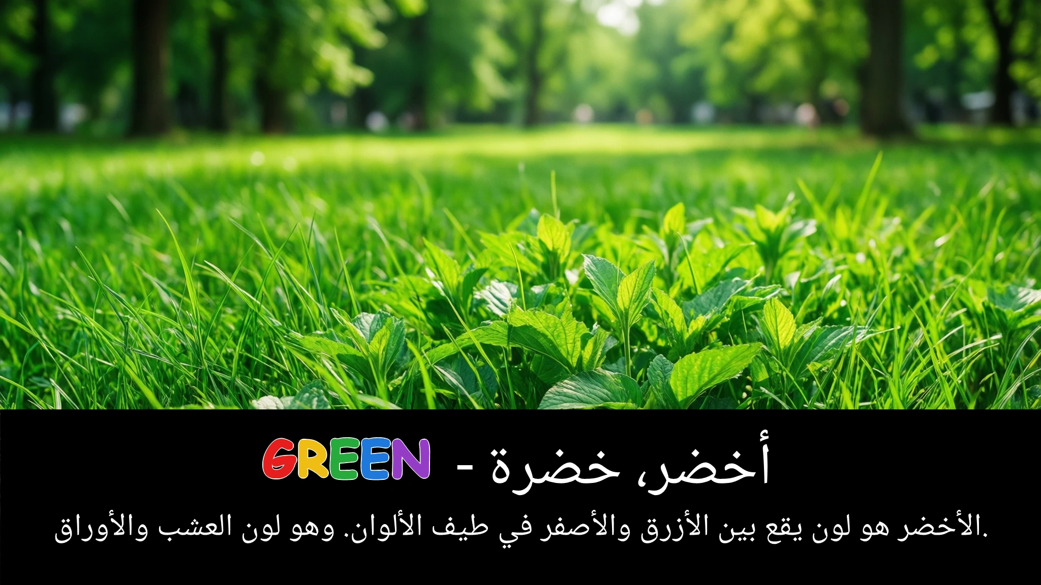 Arabic Illustration for green